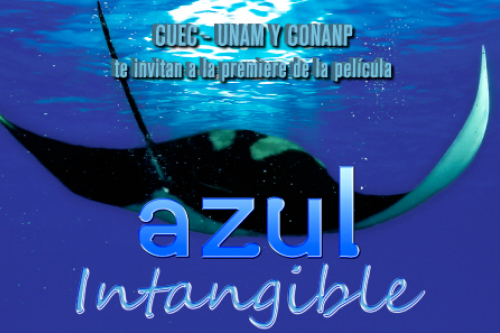 premiere azul intangible documental