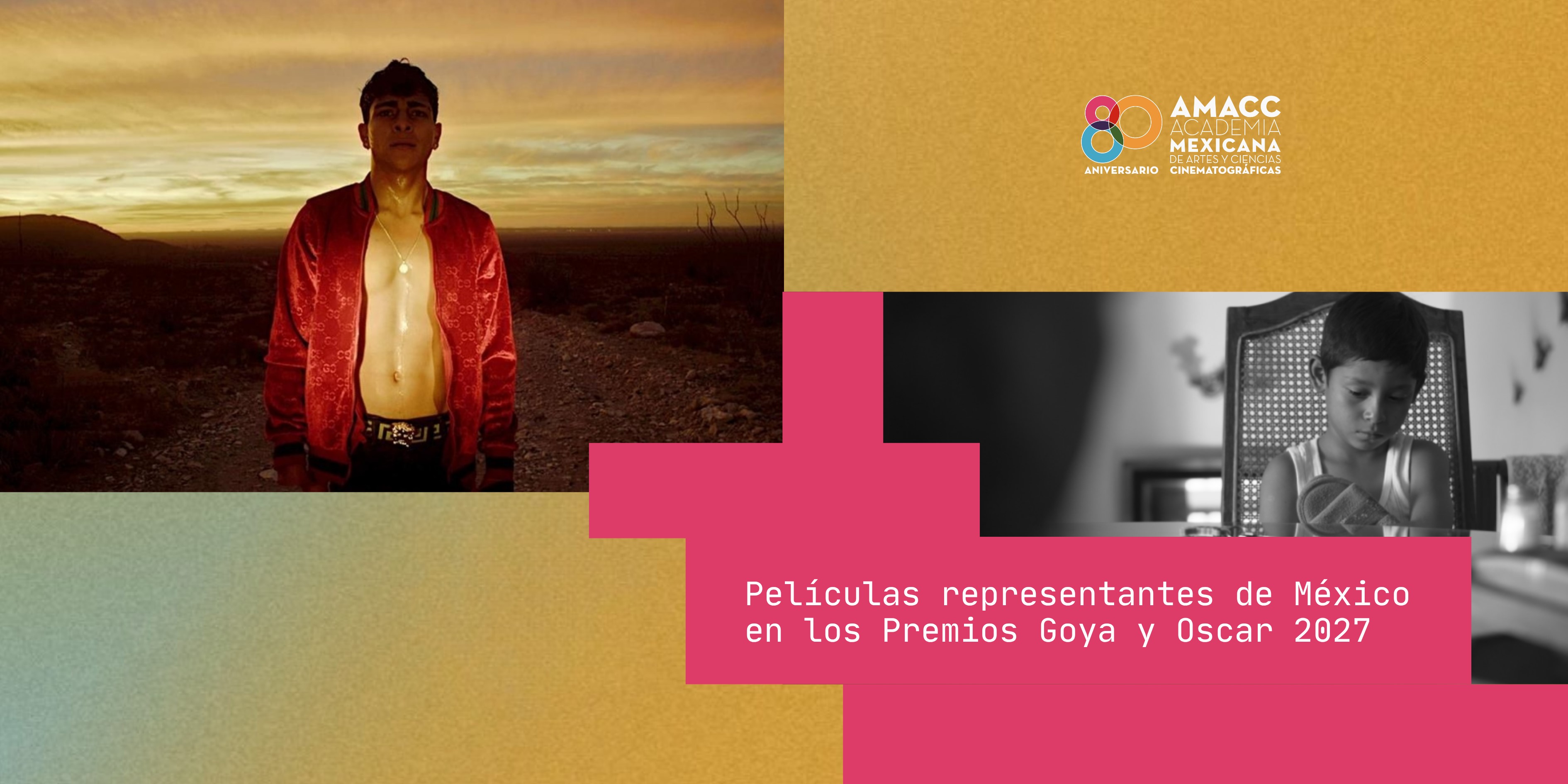 AMACC anuncia a las representantes mexicanas para el Oscar y el Goya